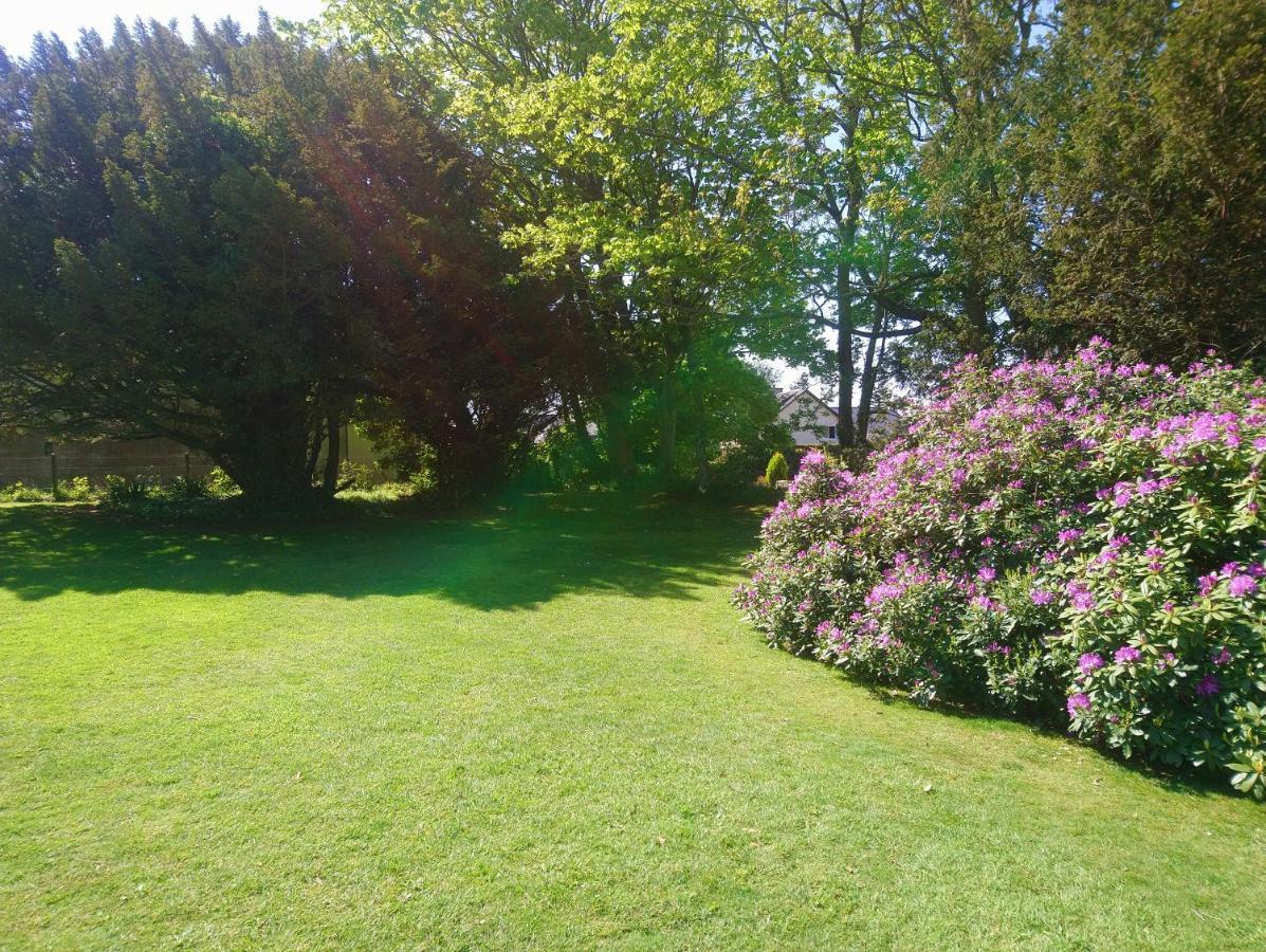 努韦勒克里波瓦斯住宿加早餐旅馆 Criquebeuf-en-Caux 外观 照片