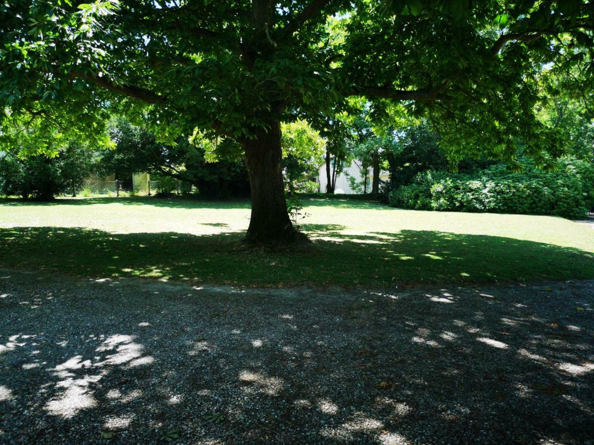 努韦勒克里波瓦斯住宿加早餐旅馆 Criquebeuf-en-Caux 外观 照片